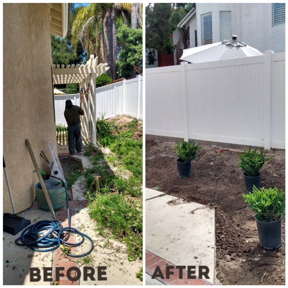 Edel's Landscaping & Maintenance
