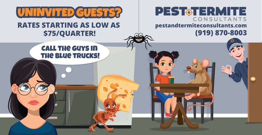Pest & Termite Consultants