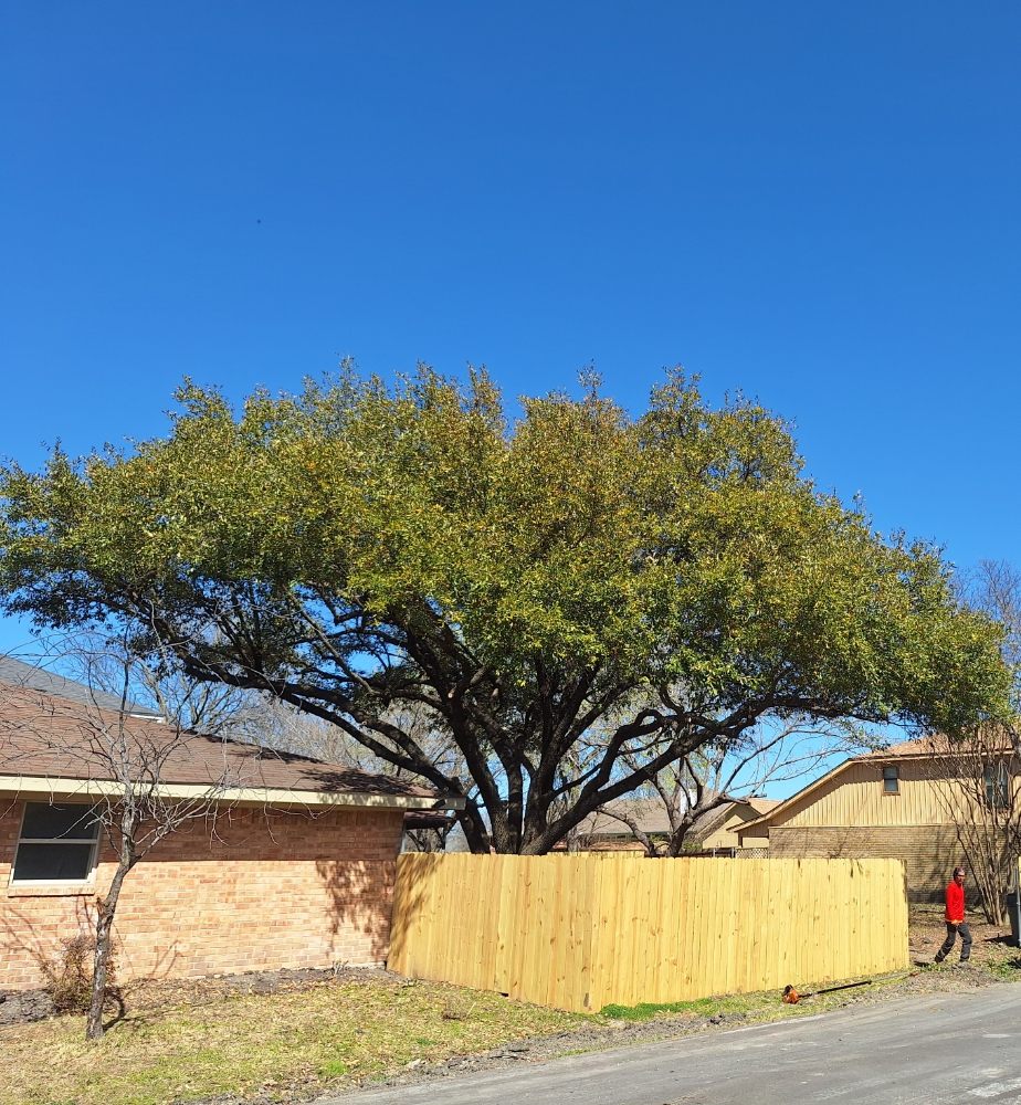 D & M Tree Service