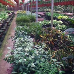 Nursery Escondido Thenurseries Windmill Nursery Closed Nurseries Gardening 26740 N