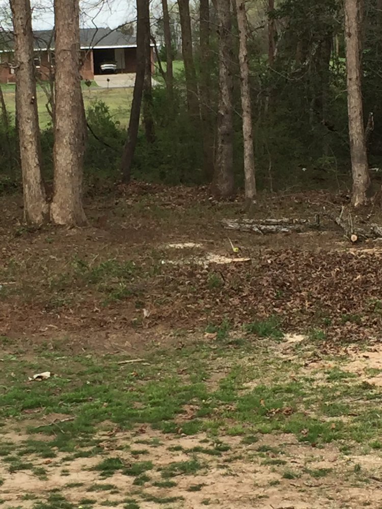 Wiley's Landscaping & Tree Service