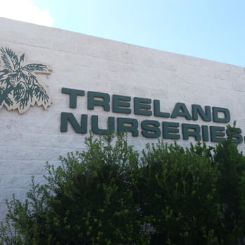 Treeland Nurseries 17 Photos 27 Reviews Gardening Photo Of Treeland Nurseries Mesa Az United States Great Place For A
