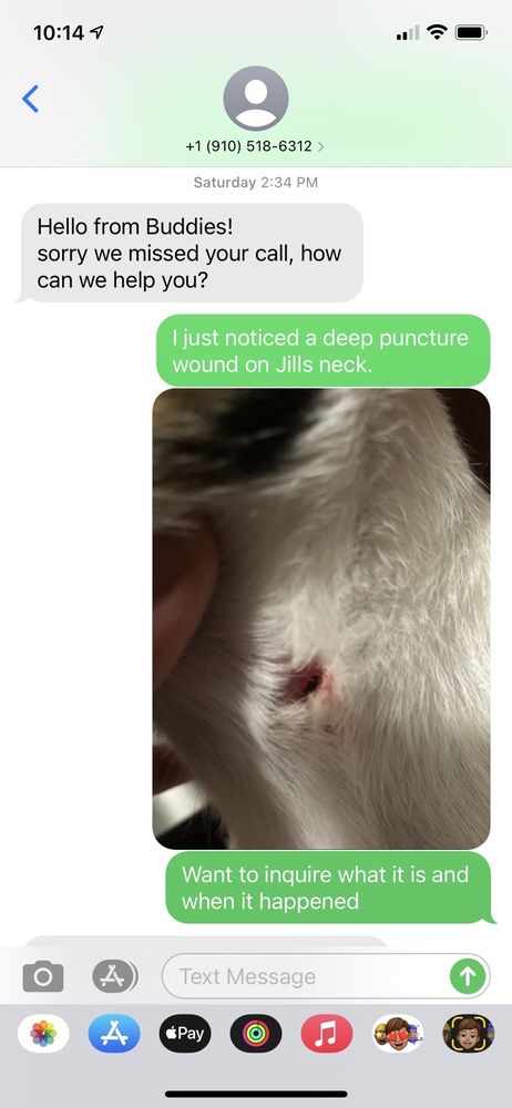 Buddies Boarding and Pet Sitting