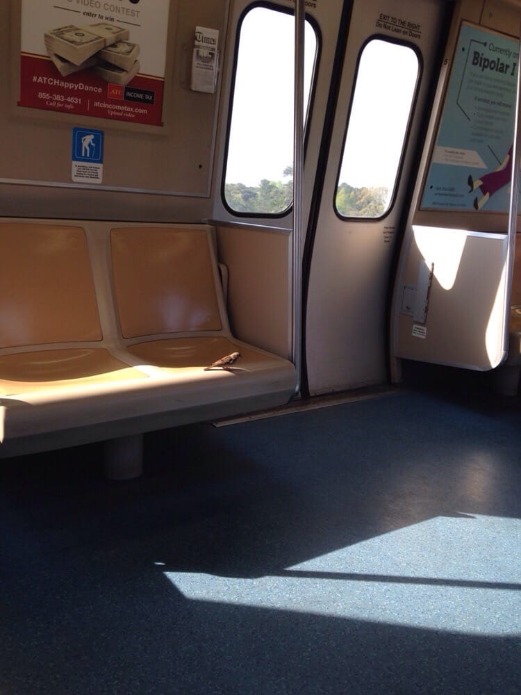 MARTA Doraville Station 27 Photos Train Stations 6000 New