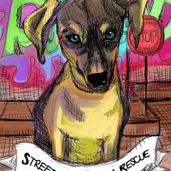 Street Savvy Dog Rescue Reviews Street Savvy Dog Rescue Reviews