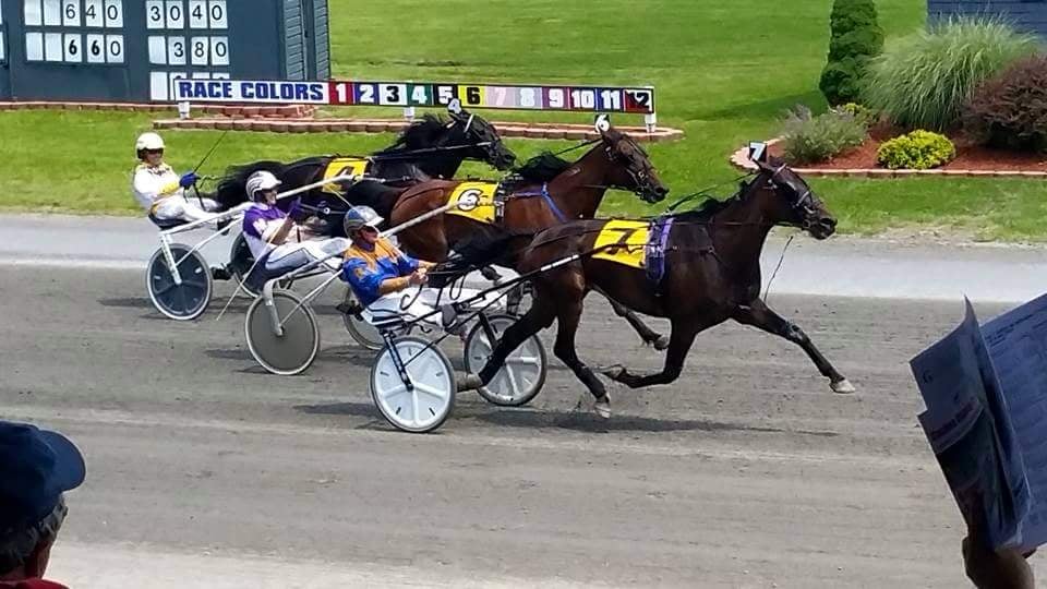 RON WAPLES HARNESS WINDOWS 7 DRIVER RON WAPLES HARNESS WINDOWS 7 DRIVERS DOWNLOAD