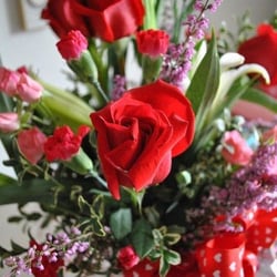 Flowers By Chi 41 Photos 28 Reviews Florists 1748 S 312th St Photo Of Flowers By Chi Federal Way Wa United States For Valentines