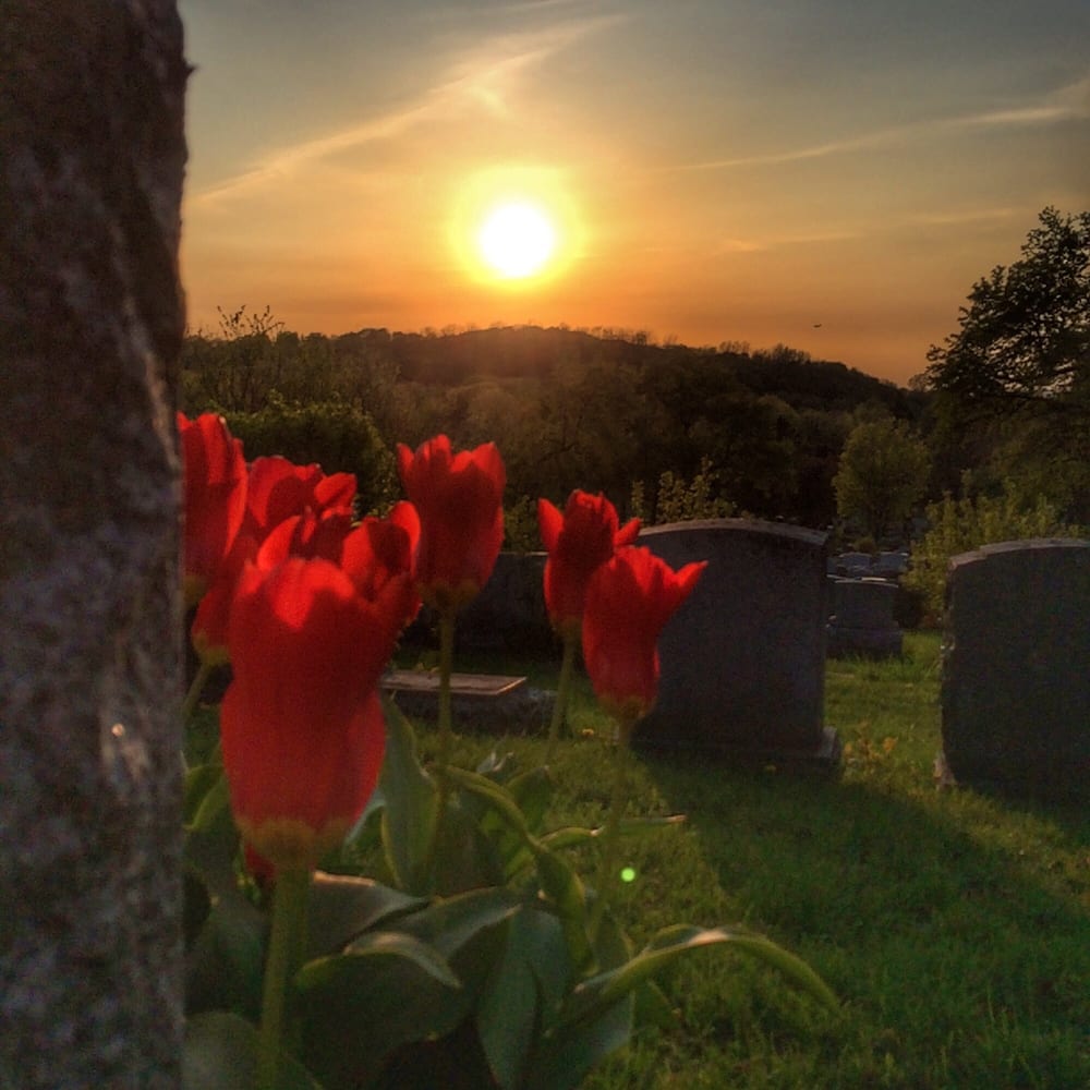 Mount Royal Cemetery