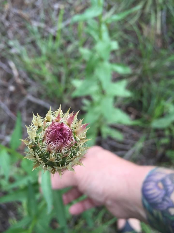 Tumbleweed Botanicals