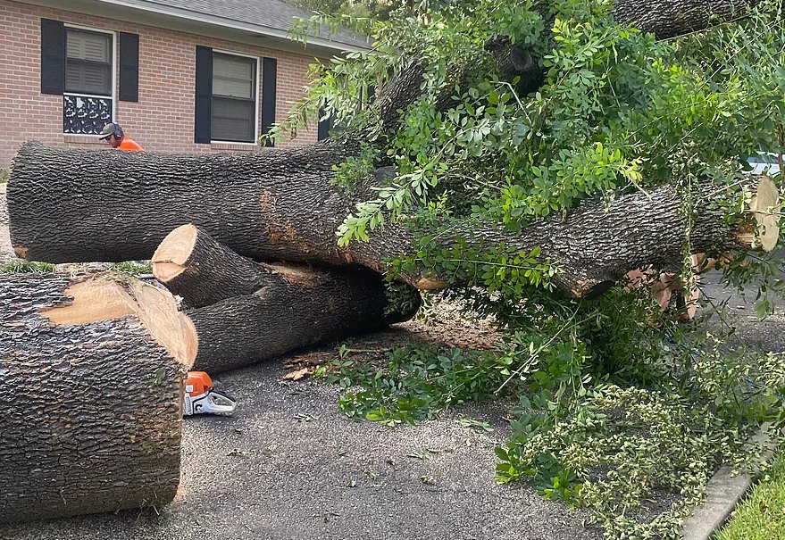 J&M Tree Service