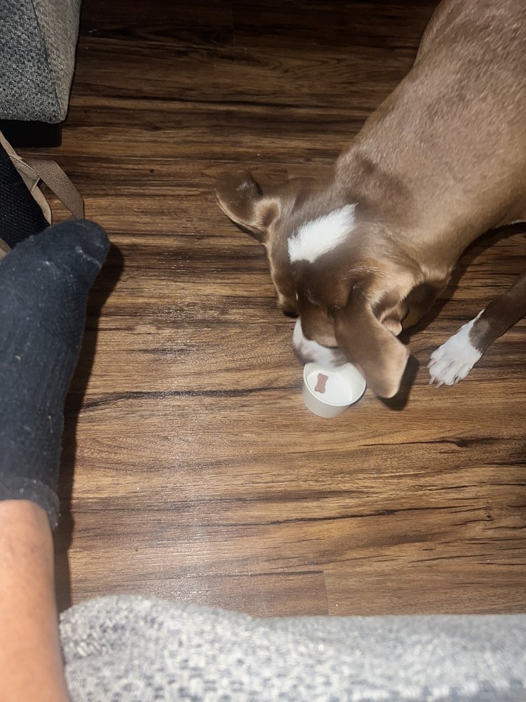 Smitty's Homemade Ice Cream