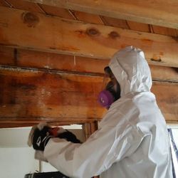 Top 10 Best Popcorn Ceiling Removal In Culver City Ca Last