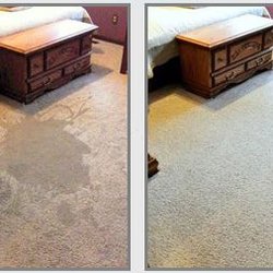 The Allen Carpet Cleaning Request A Quote The Allen Carpet Cleaning Request A