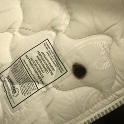Motel 6 17 Photos 39 Reviews Hotels 65 Newbury St Danvers Photo Of Motel 6 Danvers Ma United States Dirty Cigarette And