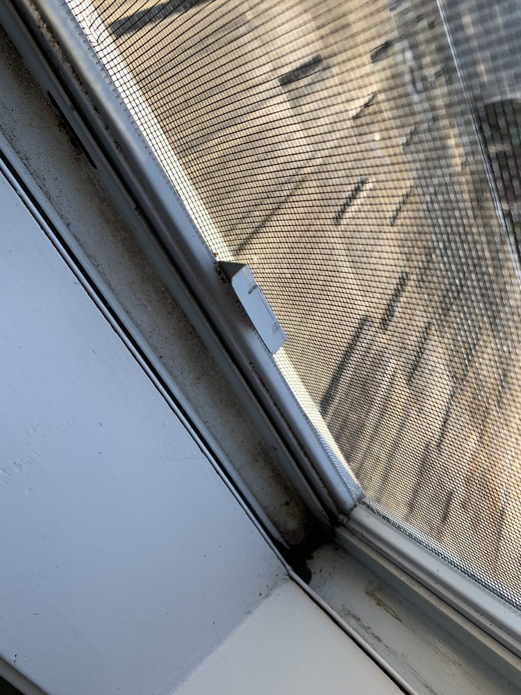 Greg's Prime - Time Window Cleaning