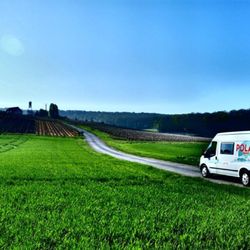 polar vans polar vans