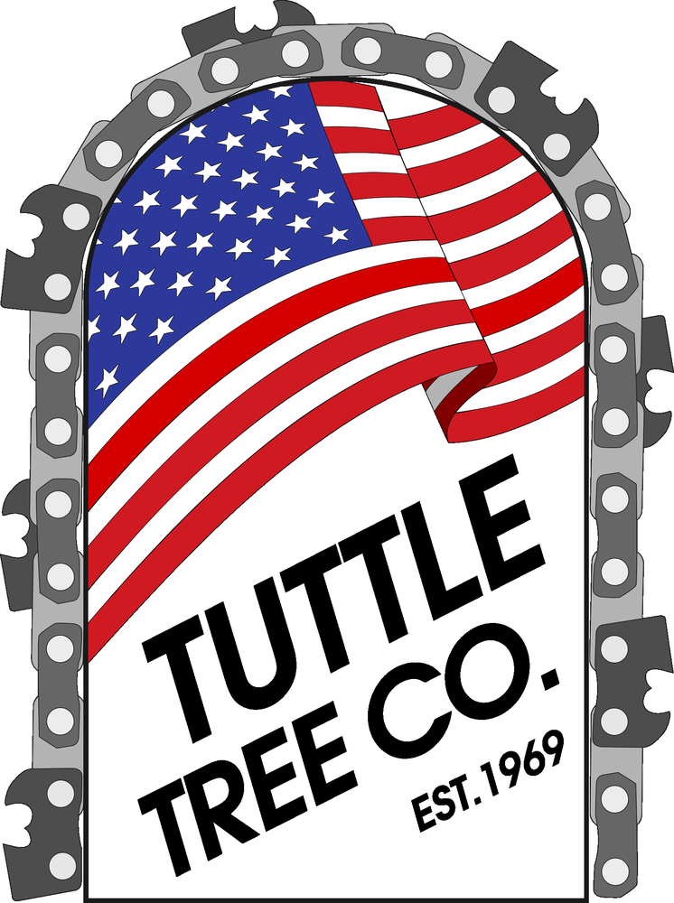 Tuttle Tree
