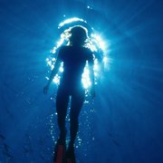 Beach Cities Scuba Aquatic Center 13 Reviews Diving 4537 Photo Of Beach Cities Scuba Aquatic Center Newport Ca United States