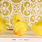 real deals on home decor - 44 photos - home decor - 10933 harrison real deals on home decor - 44 photos - home decor - 10933 harrison