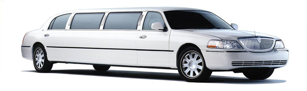 Leisure Limousine