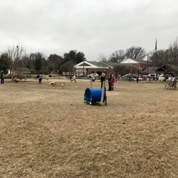 dallas dog park dallas dog park