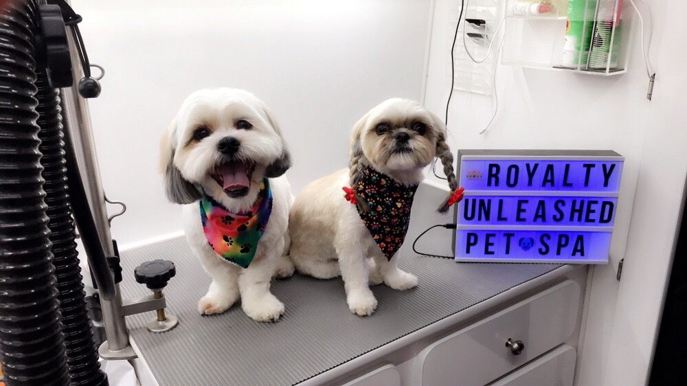 Royalty Unleashed Mobile Pet Spa 215 Photos & 65 Reviews Pet