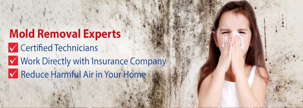 Mold Removal Remediation Solutions Damage Restoration 130 Photo Of Mold Removal Remediation Solutions Rockville Md United States