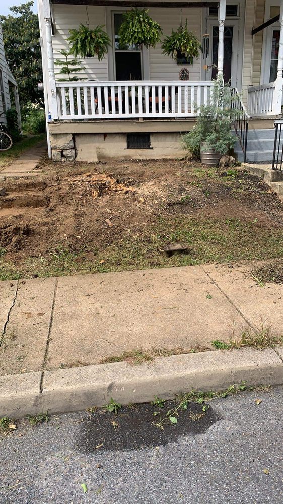 Beidler & Sons Lawn Care