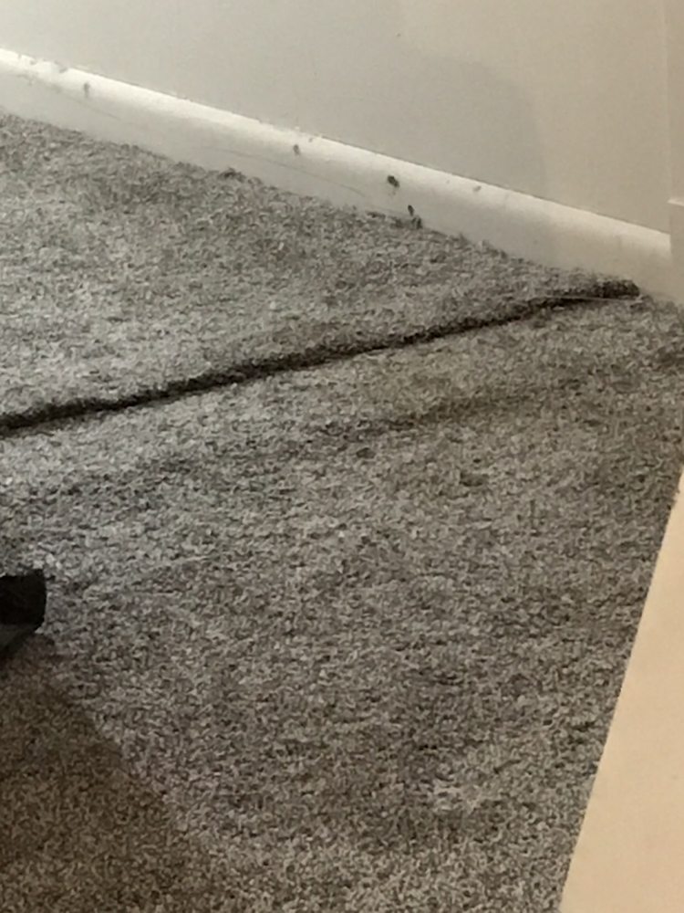 image of business We Paint And Remodel