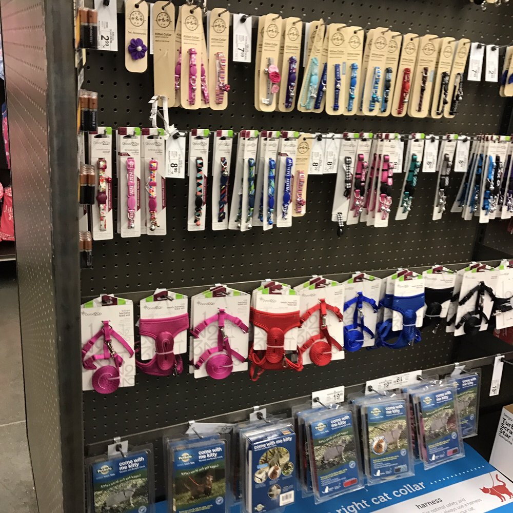 Petco 55 Photos & 48 Reviews Pet Stores 5650 Cottle Rd, Santa