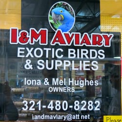 iandmaviary bird store beg 228 r offert f 229 gelaff 228 rer iandmaviary bird store beg 228 r offert f 229 gelaff 228 rer