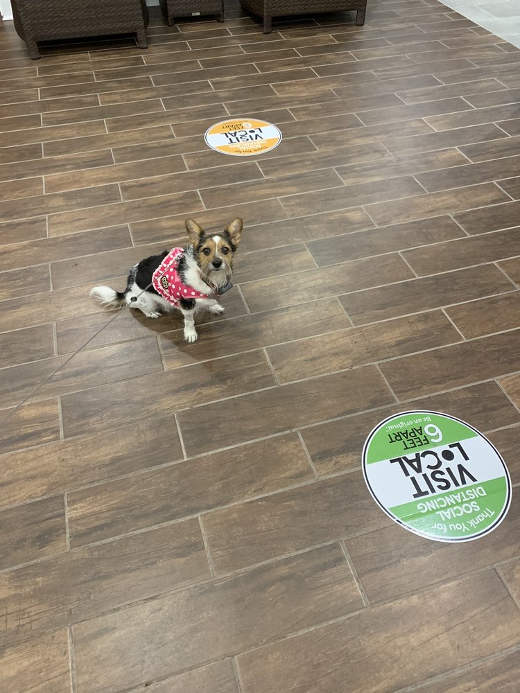 Hampton Inn Salisbury