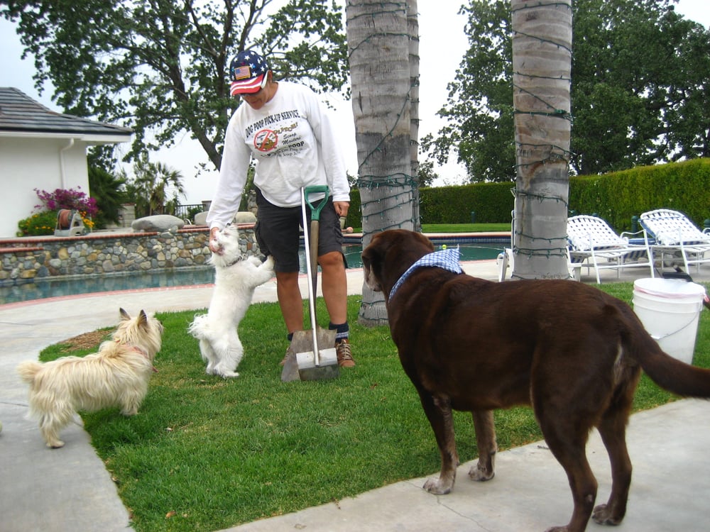 Some of our "clients". Yelp