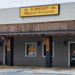 El Maguey photo
