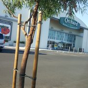 orchard supply hardware closed