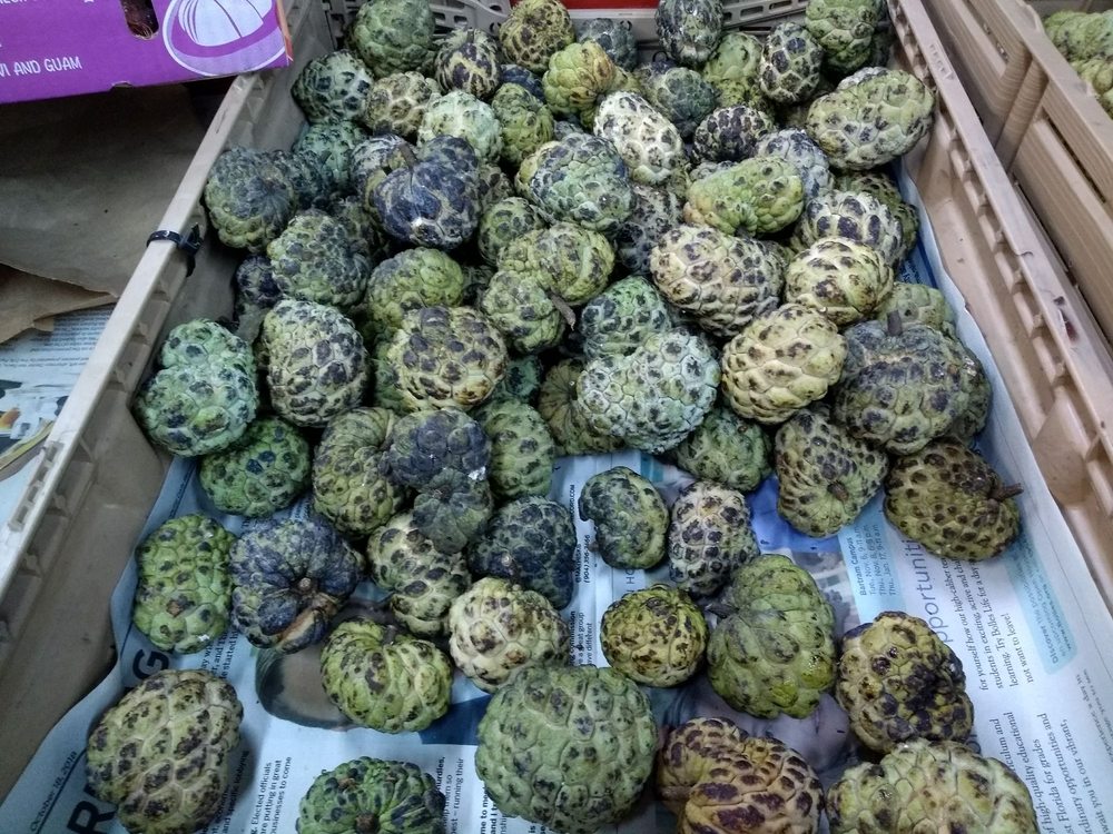 4 Seasons Asian Market