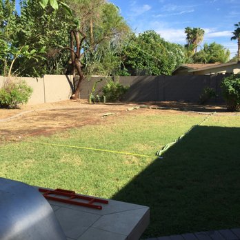 Harris Sons Tree Specialists 31 Photos 48 Reviews Photo Of Harris Sons Tree Specialists Phoenix Az United States After