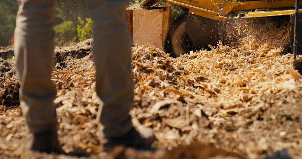 Integrity Stump Removal