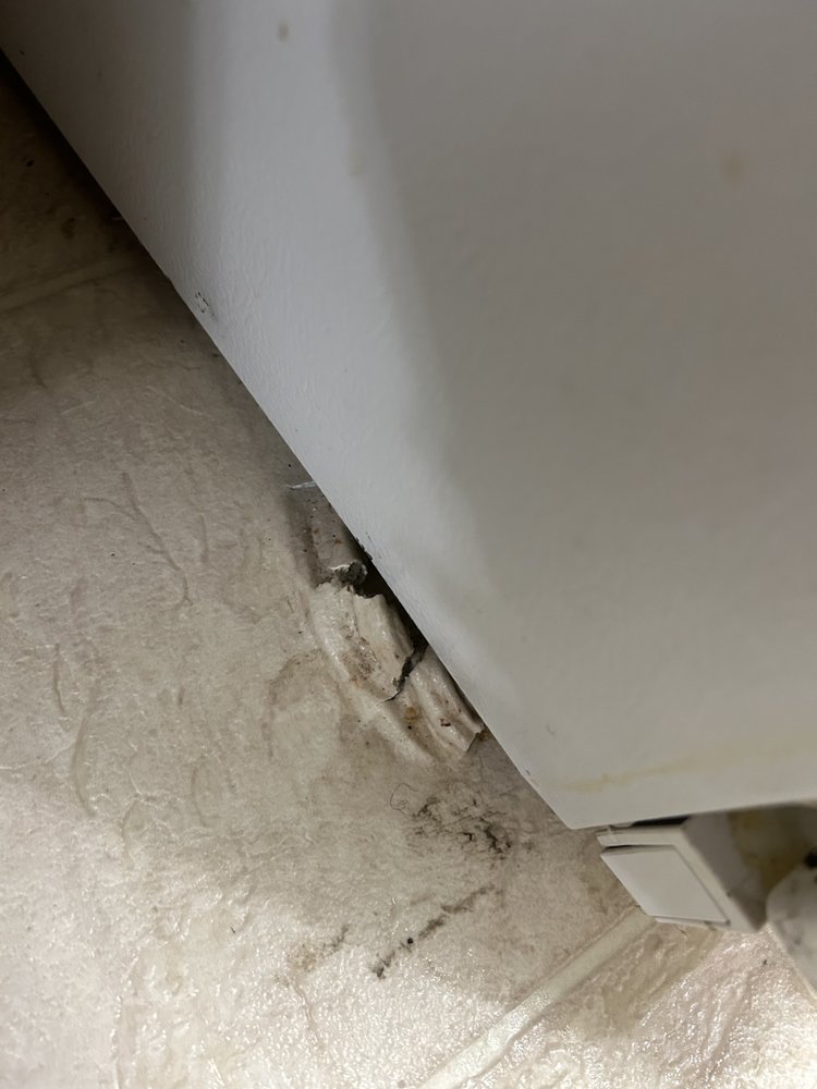 Lenz Pest Control