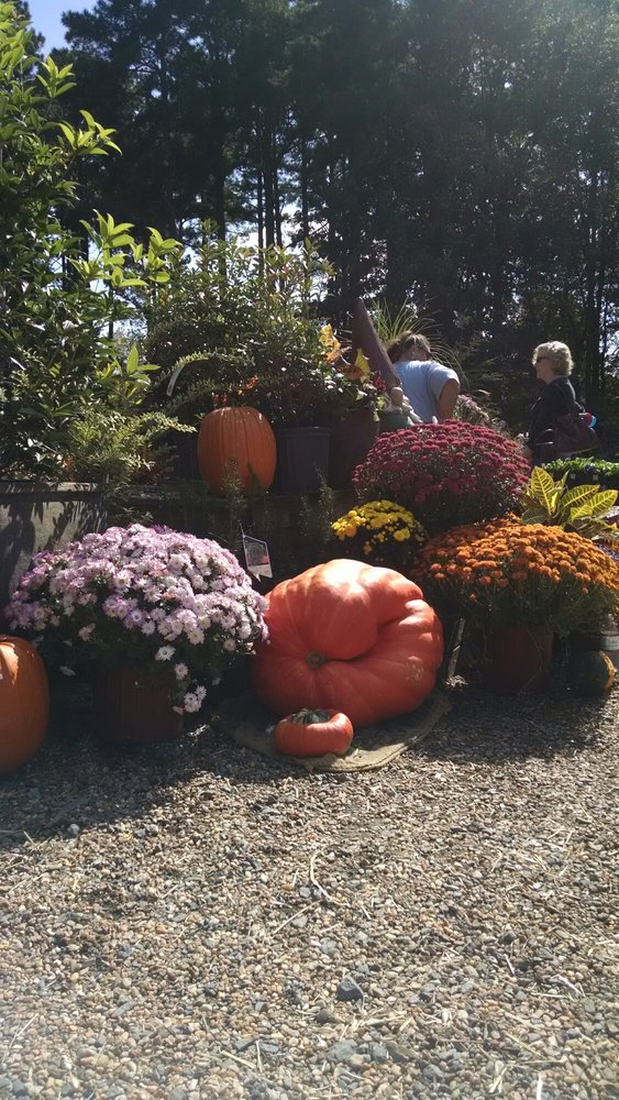 The Good Earth Garden Center 21 Photos Nurseries & Gardening