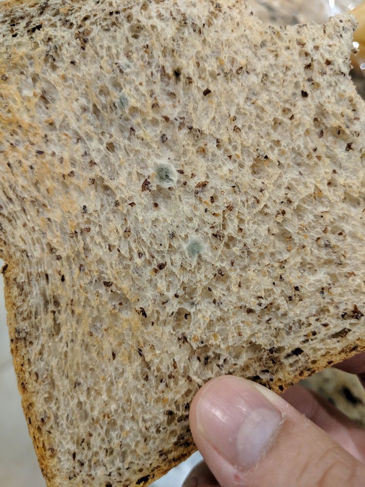 BF Bakery & Café BF Bakery & Café