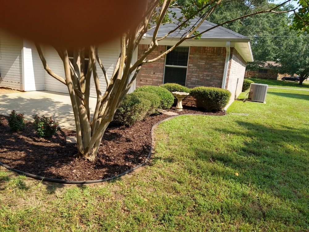 Big Mike & Son's Lawn care