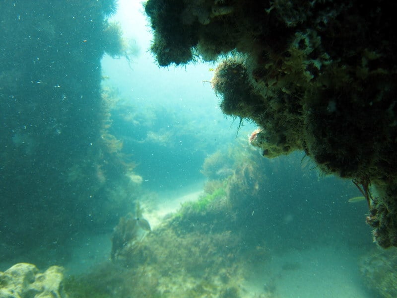 Snorkeling Tour Off Of Vero Beach On The Breconshire Shipwreck Yelp Photo Of Shark Bait Beach Gear Als Vero Fl United States