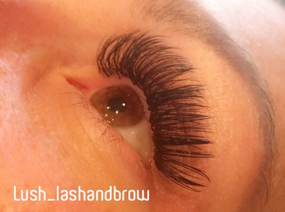 Lush Lash & Brow Lounge 51 Photos Eyelash Service 13410 Parker
