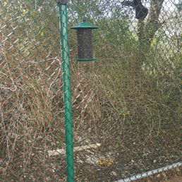 wild birds unlimited bird shops 14602 huebner rd san wild birds unlimited bird shops 14602 huebner rd san