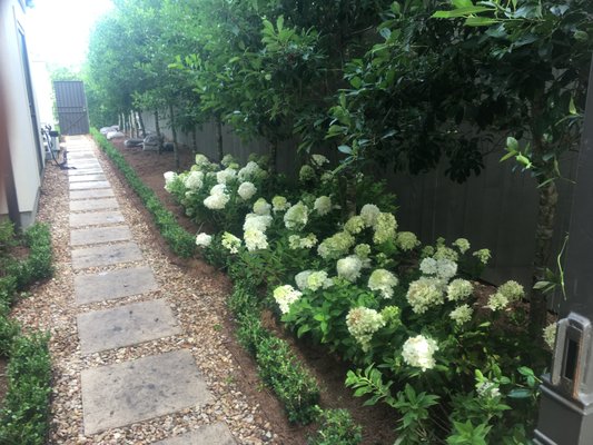 Pro T Landscaping - Nurseries & Gardening - 1519 S Jefferson Davis Photo of Pro T Landscaping - New Orleans, LA, United States. Let us - Pro T Landscaping - Nurseries & Gardening - 1519 S Jefferson Davis