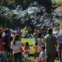 The San Francisco Bubble Man