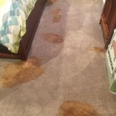 Orange Coast Chem Dry 28 Photos 47 Reviews Carpet Cleaning 5 Photo Of Orange Coast Chem Dry Newport Beach Ca United States