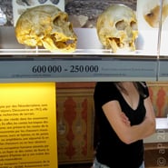 Musée de la Préhistoire
