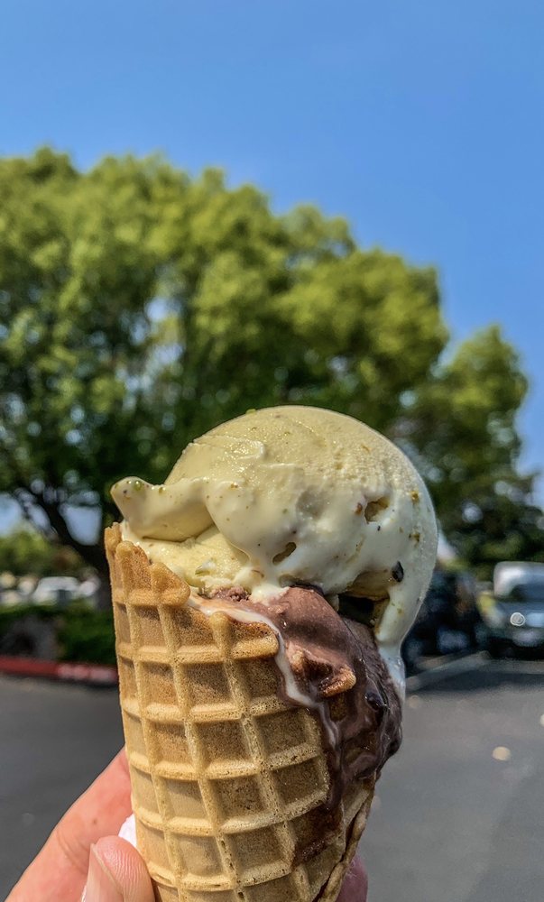 Gelato Classico Italian Ice Cream